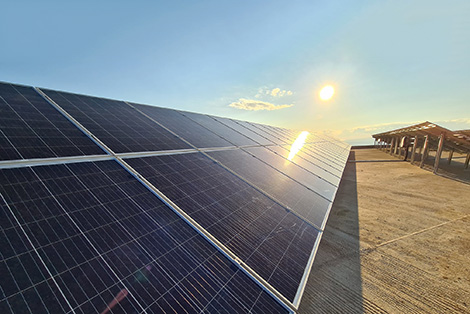 La capacité photovoltaïque installée en Allemagne a atteint un niveau record.